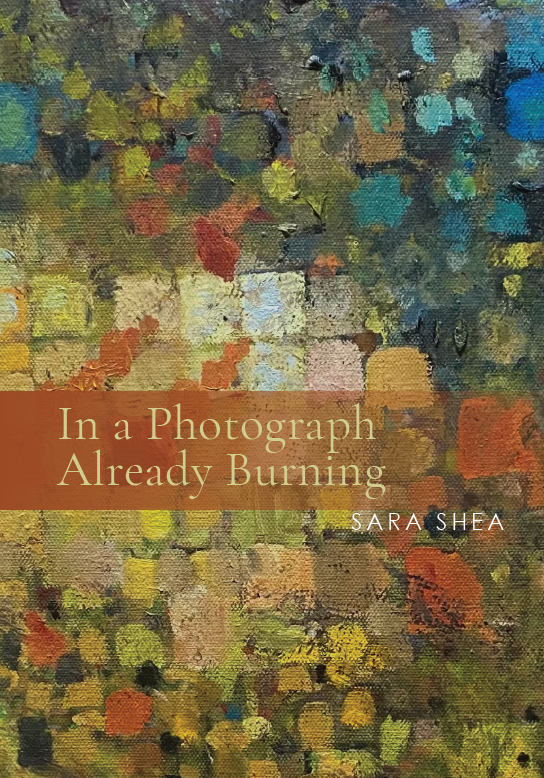 Sara Shea - In a Photograph Already Burning